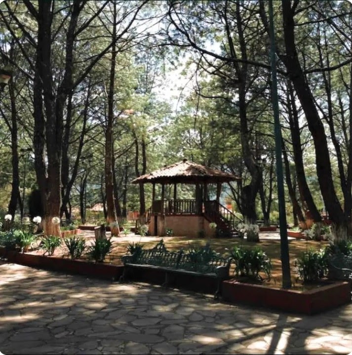 parque-cabanas-del-bosque-airbnb-mazamitla-pueblo-magico-jalisco