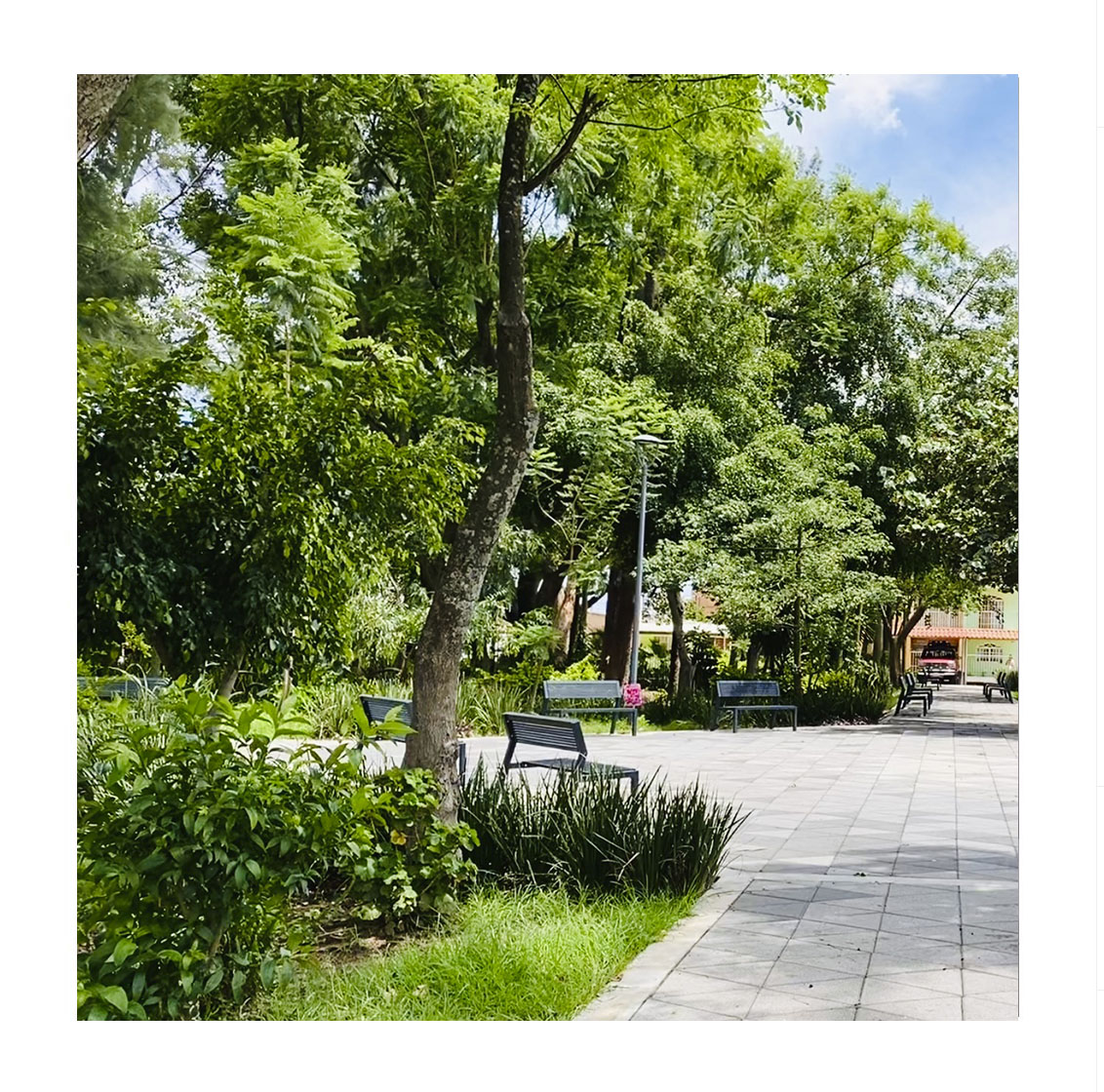 Parque Arboleda