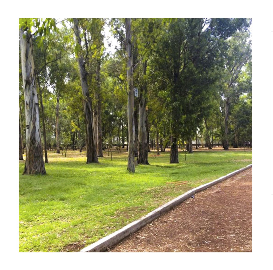 Parque González Gallo