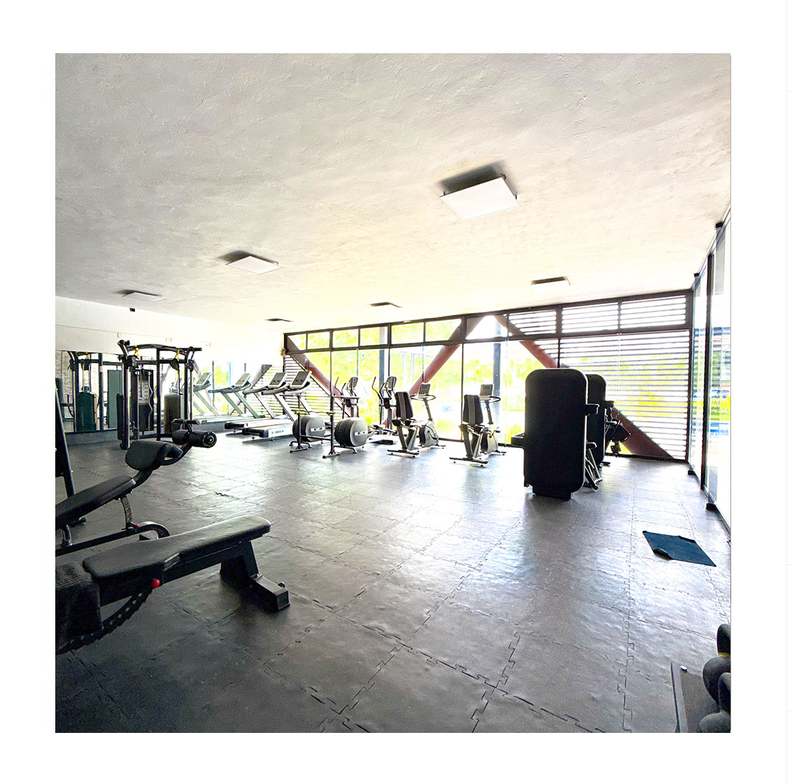 Gimnasio (Gym)