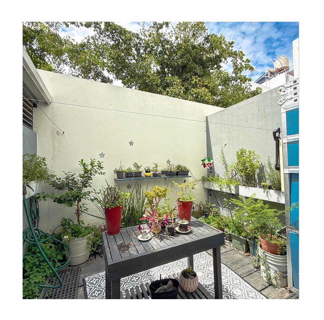 Patio trasero